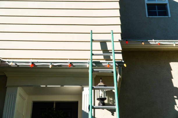 Best Custom Siding Design  in Malta, MT